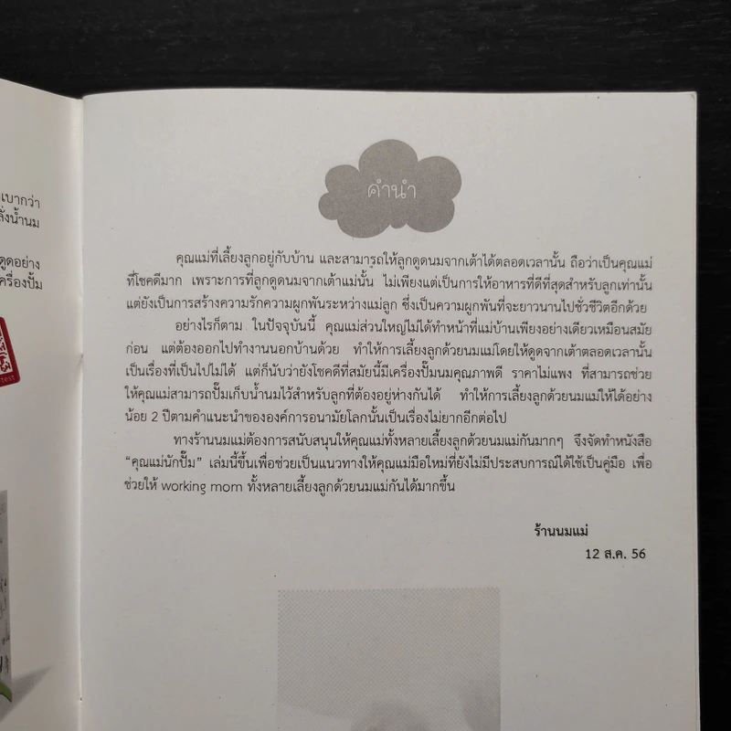 คุณแม่นักปั๊ม ทำทุกอย่างเพื่อลูก รูปที่ 5