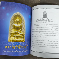 พระบารมี - ราช รามัญ, วัชรพงษ์ ทองเนื้อสุก รูปที่ 7