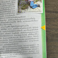 Lonely in cape Town บุกเดี่ยว ตะลุย เคปทาวน์ รูปที่ 8