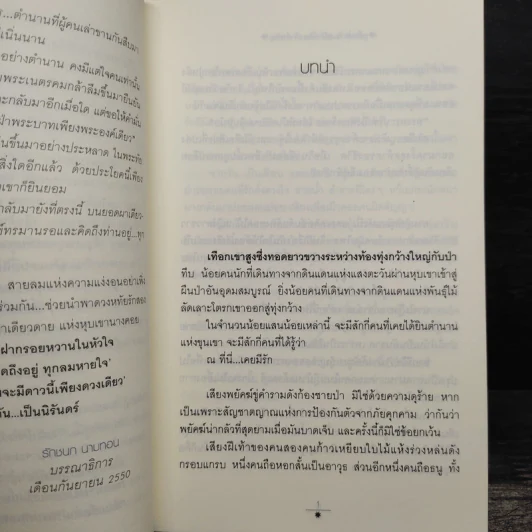 เพียงดาวนฤมิต 2 เล่มจบ - เจ้าสำราญ รูปที่ 6