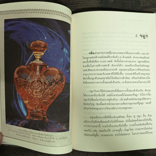 ทวาร 6 ศาสตร์แห่งการรู้ทันตนเอง - ทันตแพทย์สม สุจีรา รูปที่ 7