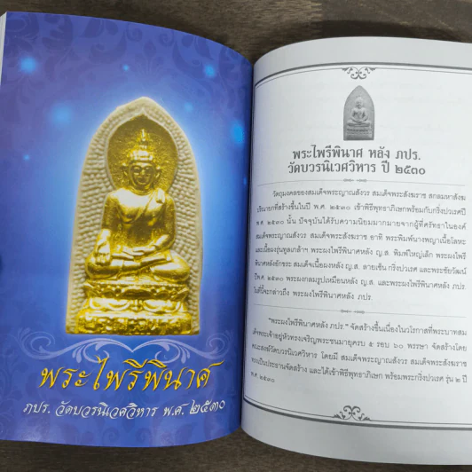 พระบารมี - ราช รามัญ, วัชรพงษ์ ทองเนื้อสุก รูปที่ 7