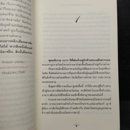 มณีสีเลือด - จันทร์ฉาย ศรีคราม รูปที่ 6