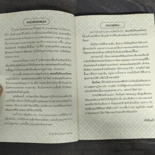 พระศรีอริยเมตไตรย มหาศาสดาแห่งโลกยุคใหม่ รูปที่ 6