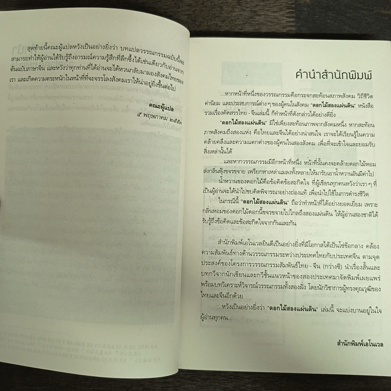 ดอกไม้สองแผ่นดิน รูปที่ 6