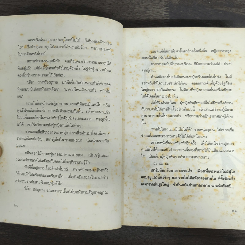 มณีแดนสรวง - พงศกร รูปที่ 7