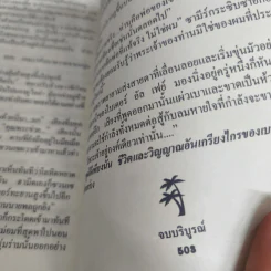 The Pirate จ้าวทะเลทราย - แฮโรลด์ ร็อบบินส์, นิดา รูปที่ 8
