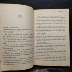 Fangirl - Rainbow Rowell รูปที่ 6