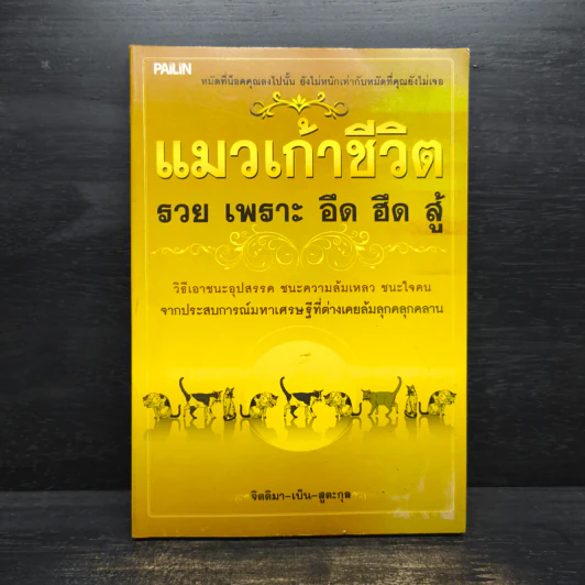 แมวเก้าชีวิต รวย เพราะ อึด ฮึด สู้ - จิตติมา-เบ็น-สูตะกุล รูปที่ 1