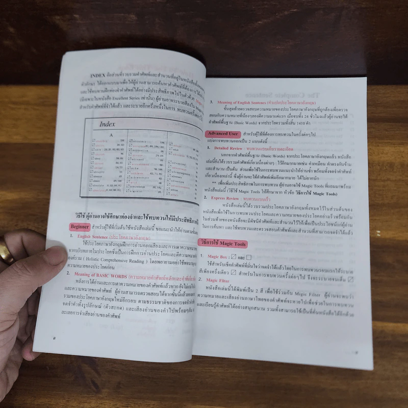 3030 WORDS from 253 sentences รูปที่ 8