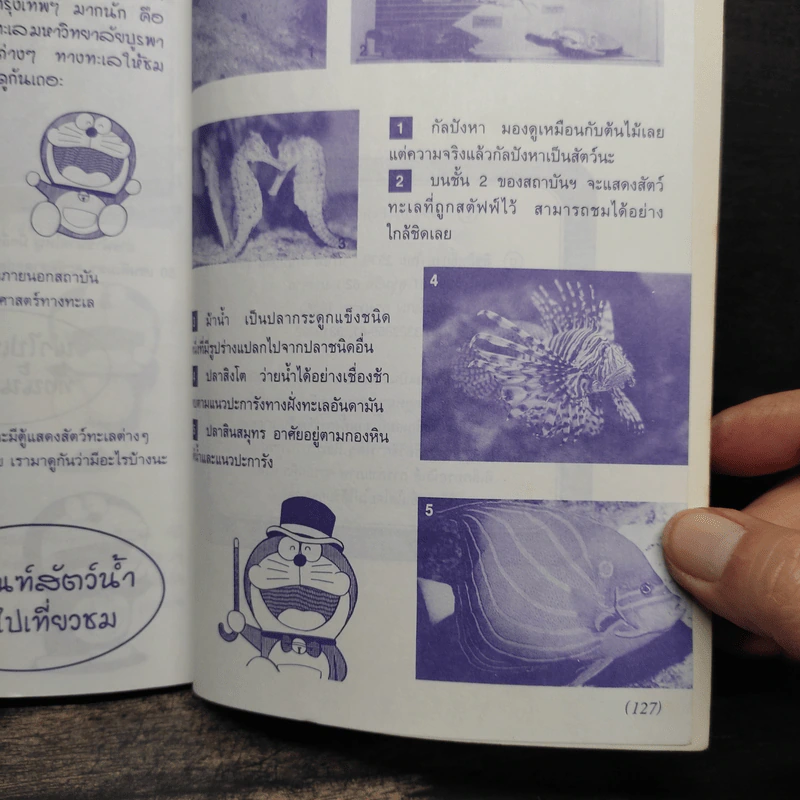 โดเรมอน ค้นพบความมหัศจรรย์ ผจญภัยใต้ทะเลลึก รูปที่ 8