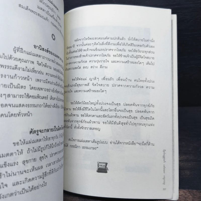 ปัญหา+ปันหา เป็นยาวิเศษ - กรรณิกา ธรรมเกษร รูปที่ 8