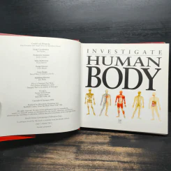 Investigate Human Body รูปที่ 6