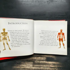 Investigate Human Body รูปที่ 7
