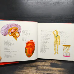 Investigate Human Body รูปที่ 9
