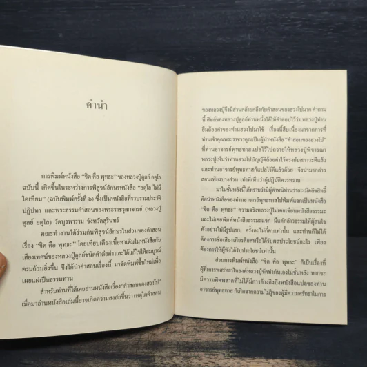 จิตคือพุทธะ - หลวงปู่ดุลย์ อตโล รูปที่ 6