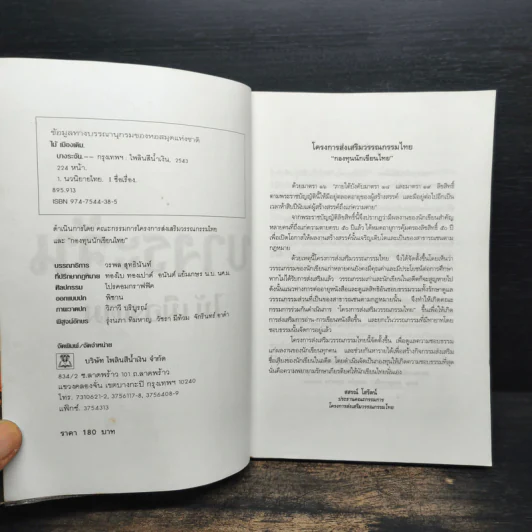 บางระจัน - ไม้ เมืองเดิม รูปที่ 6