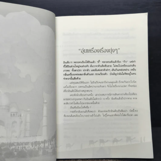 ตะลุยเมืองแขก แหวกส่าหรี - กาญจนา หงษ์ทอง รูปที่ 8