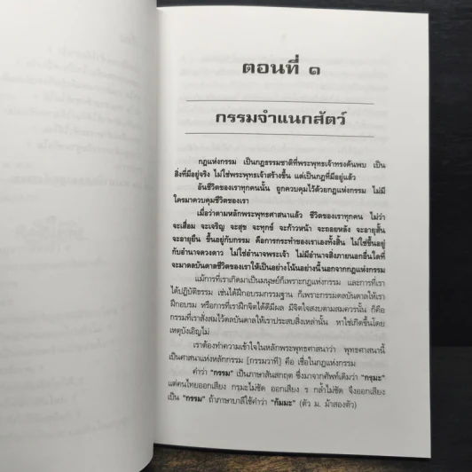 กฏแห่งกรรม - พระเทพวิสุทธิกวี (พิจิตร ฐิตวณโณ) รูปที่ 10