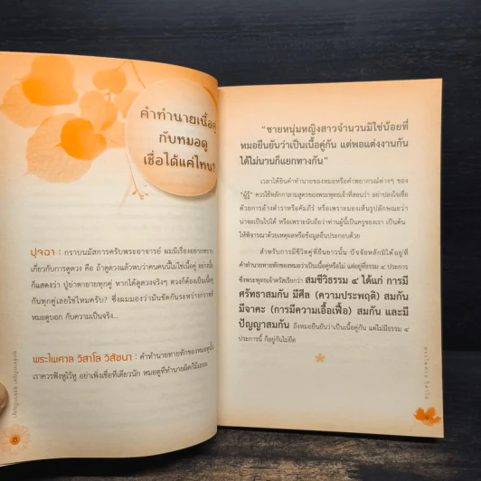 ทุกข์จากปัญหา สุขจากปัญญา - พระไพศาล วิสาโล รูปที่ 8