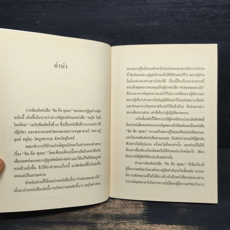 จิตคือพุทธะ - หลวงปู่ดุลย์ อตโล รูปที่ 6