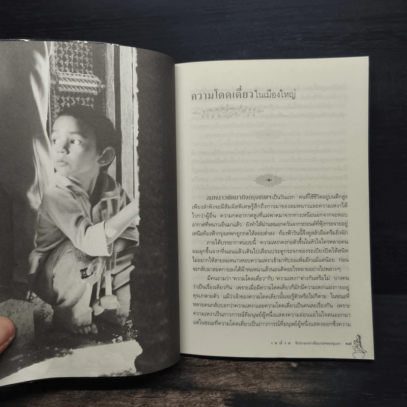 เนปาล จักรวาลกลางอ้อมกอดของขุนเขา - เกรียงไกร เกิดศิริ รูปที่ 8
