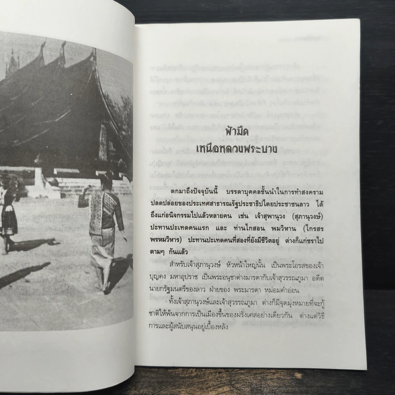 เบิ่งลาว - ฉลอง ธาราพรรค์ รูปที่ 7