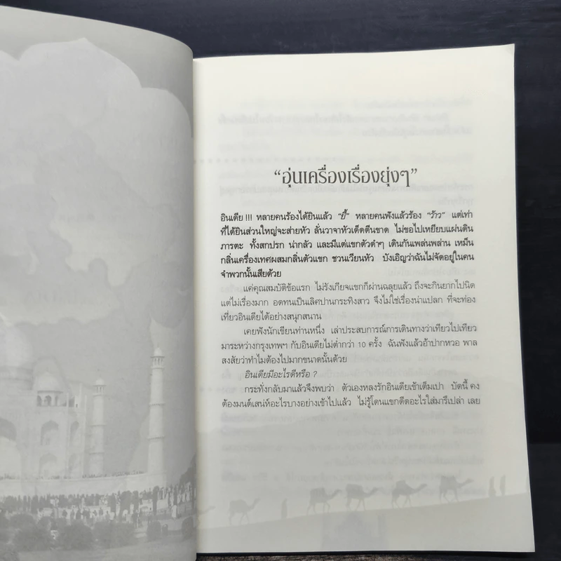 ตะลุยเมืองแขก แหวกส่าหรี - กาญจนา หงษ์ทอง รูปที่ 8