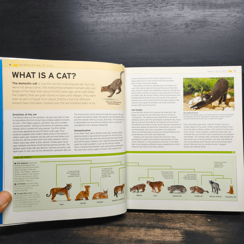 The Complete Cat Breed Book รูปที่ 8