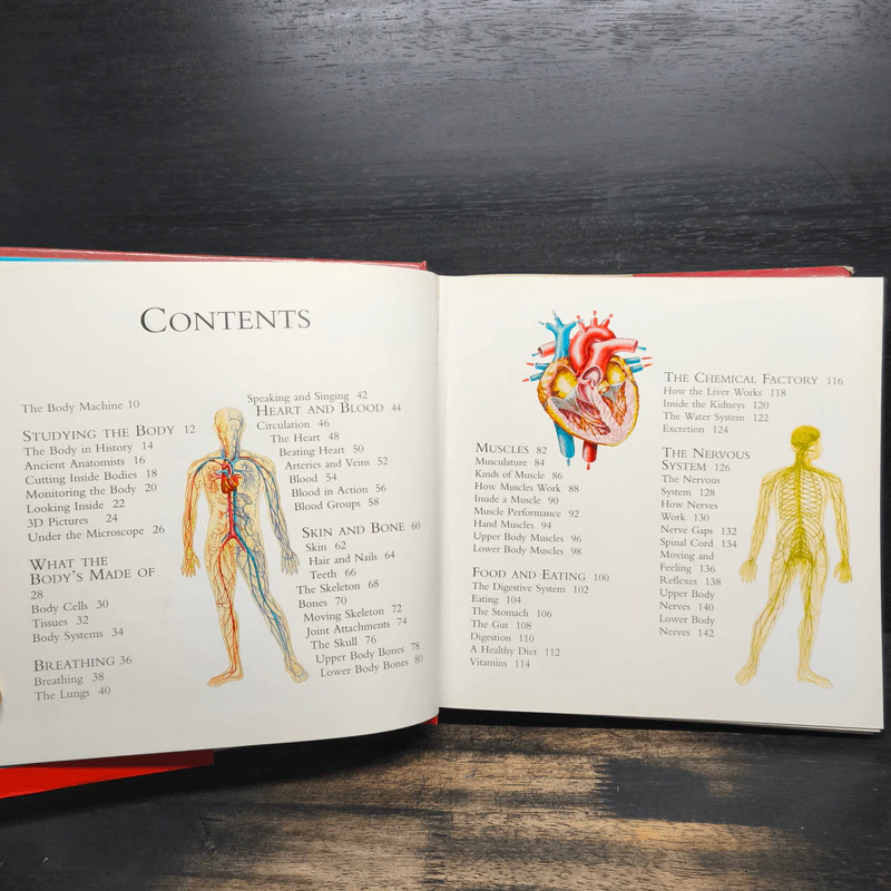 Investigate Human Body รูปที่ 8