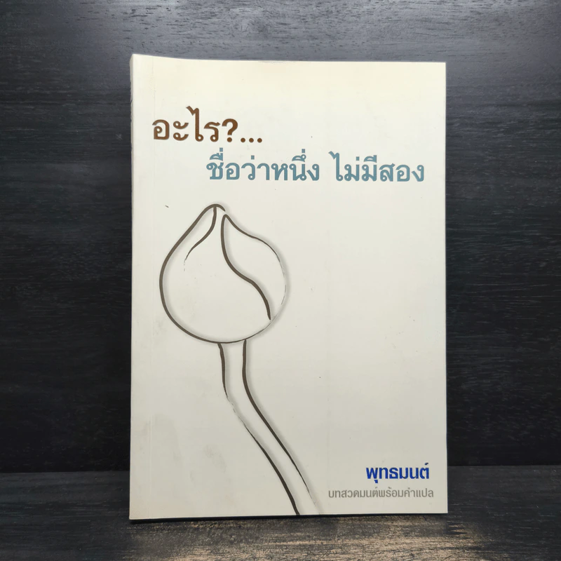 อะไร?...ชื่อว่าหนึ่ง ไม่มีสอง รูปที่ 1