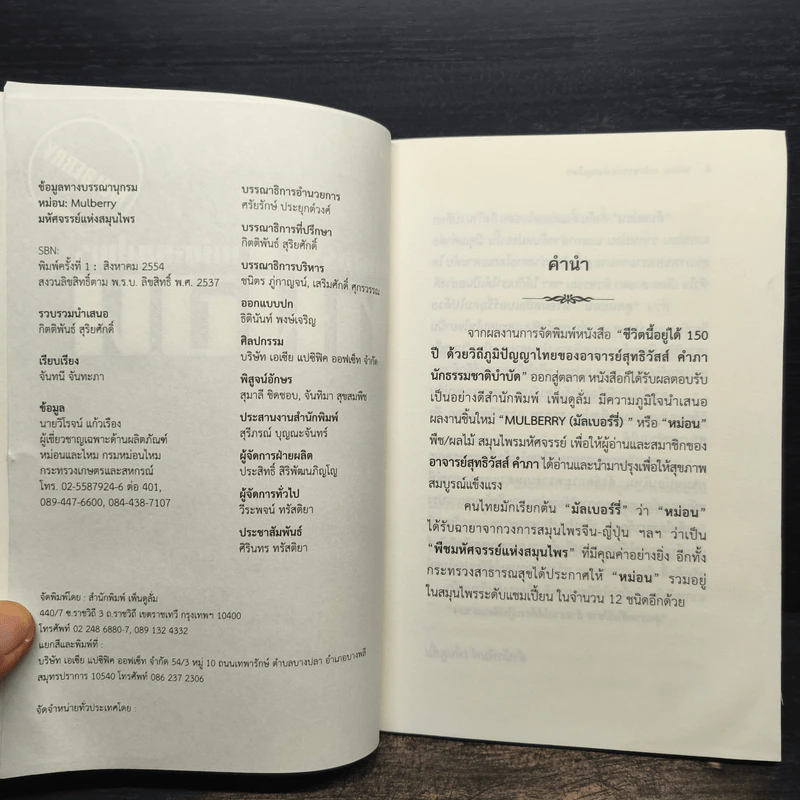 มหัศจรรย์แห่งสมุนไพรหม่อน รูปที่ 6