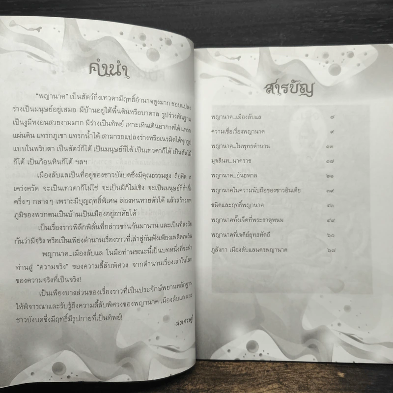 พญานาคเมืองลับแล - นรเศรษฐ์ รูปที่ 7