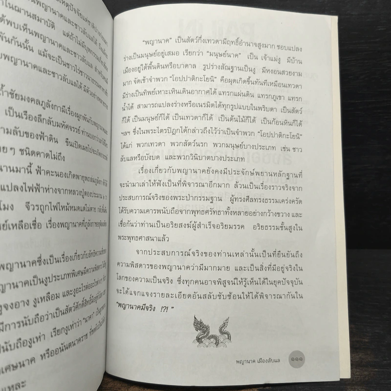 พญานาคเมืองลับแล - นรเศรษฐ์ รูปที่ 9