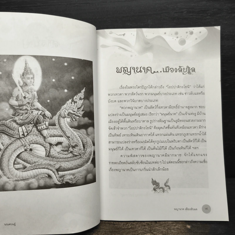 พญานาคเมืองลับแล - นรเศรษฐ์ รูปที่ 8