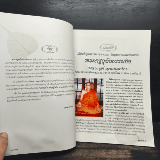 หลวงปู่ตี๋ ญาณโสภโณ (พระครูอุทัยธรรมกิจ) รูปที่ 6