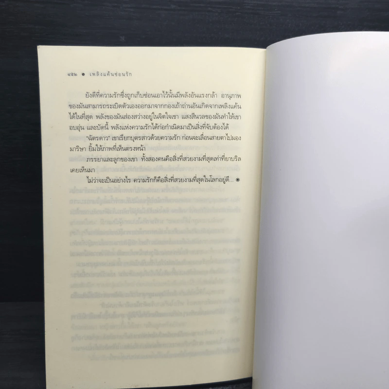 เพลิงแค้นซ่อนรัก - ซ่อนกลิ่น รูปที่ 9