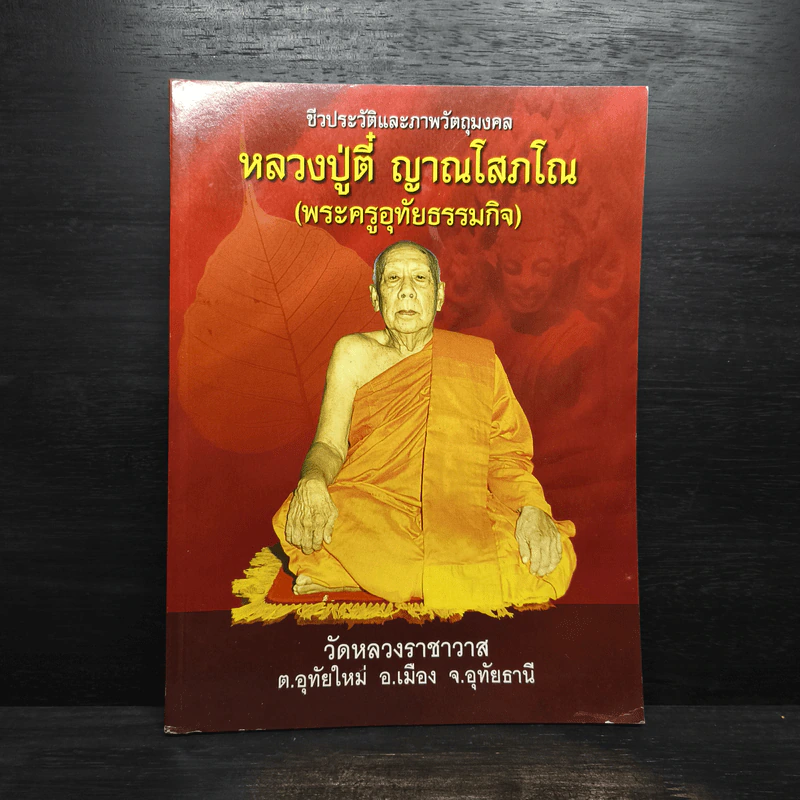 หลวงปู่ตี๋ ญาณโสภโณ (พระครูอุทัยธรรมกิจ) รูปที่ 1
