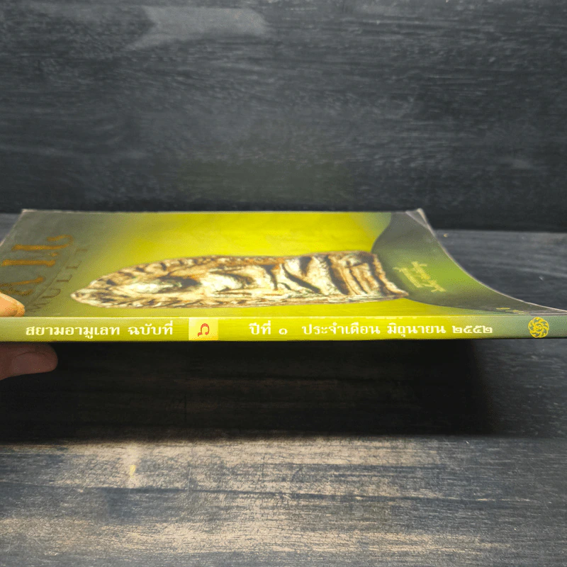Siam Amulet Vol.6 ปีที่ 1 มิ.ย.2552 รูปที่ 7