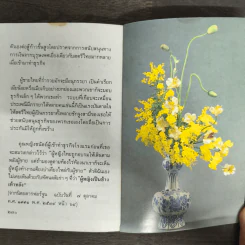 คนแก่อยู่กับความหลัง - คุณหญิงชนัตถ์ ปิยะอุย รูปที่ 9