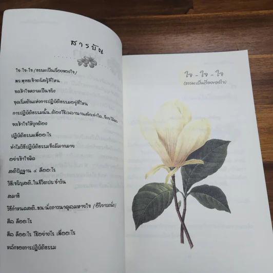 ธรรมะกับการปฏิบัติธรรม รูปที่ 6