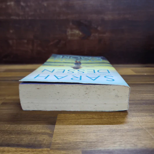 The Moon & More - Sarah Dessen รูปที่ 5