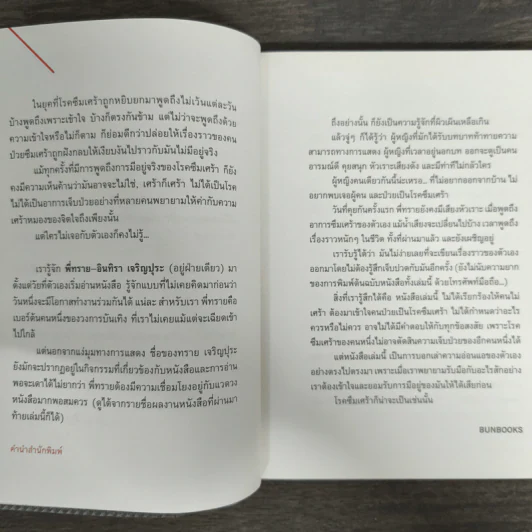 3 วันดี 4 วันเศร้า - ทราย อินทิรา เจริญปุระ รูปที่ 6