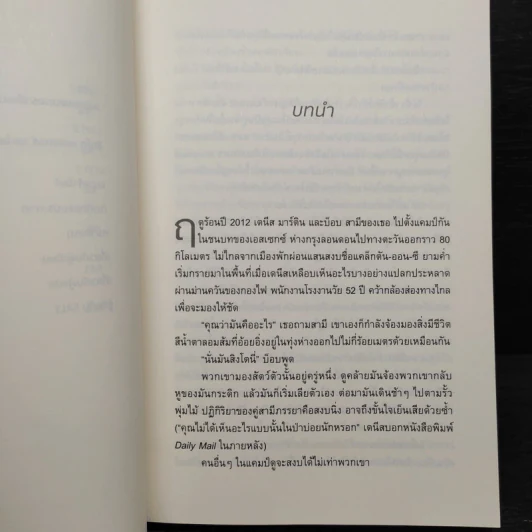 ใครคือเจ้าของบ้าน ฉันหรือแมว - Abigail Tucker (แอบีเกล ทักเกอร์) รูปที่ 8