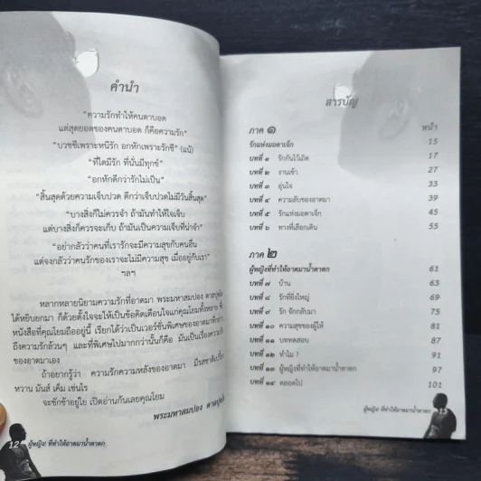 ผู้หญิงที่ทำให้อาตมาน้ำตาตก - พระมหาปอง ตาลปุตฺโต รูปที่ 7