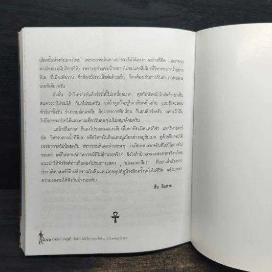 Exploring Ancient Egypt เปิดโลกไอยคุปต์บันทึก (ไม่) ลับจากอเล็กซานเดรียจรดอบูซิมเบล รูปที่ 8