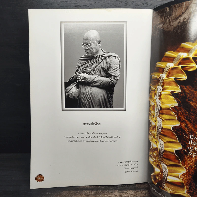 The Art of Siam No.11 รูปที่ 9