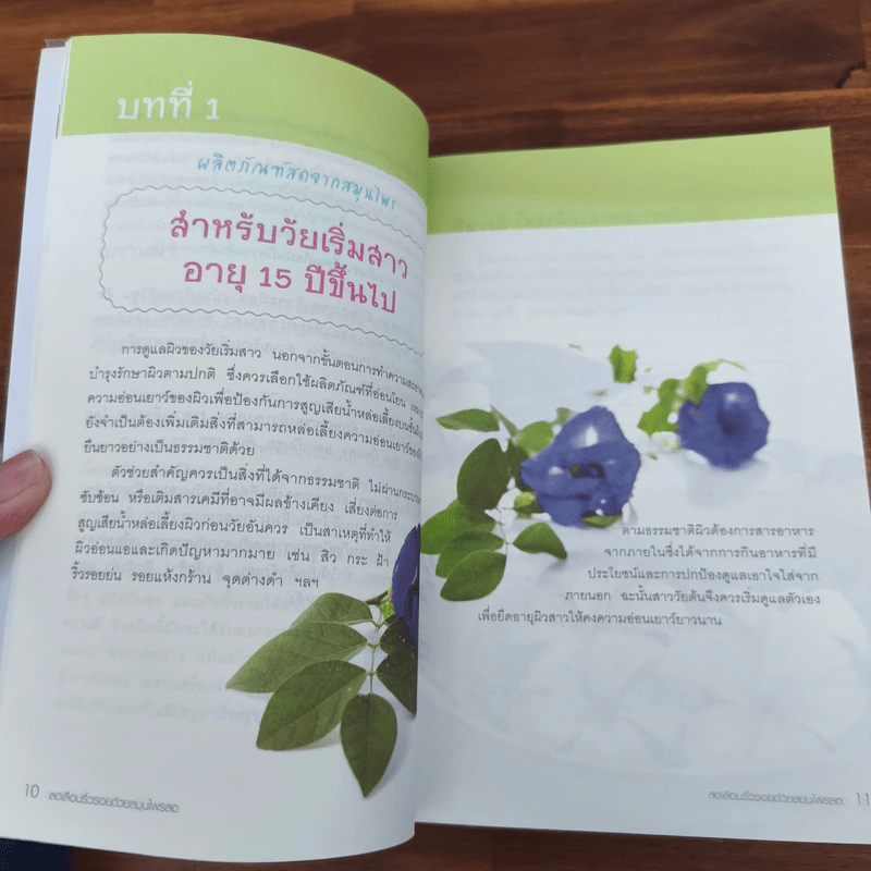 ลดเลือนริ้วรอยด้วยสมุนไพรสด - กวิสรา วยสกร รูปที่ 10