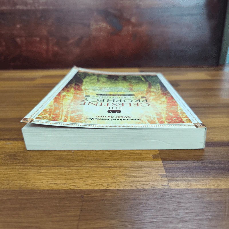 The Celestine Prophecy An Adventure คัมภีร์ฟ้าทำนาย รูปที่ 5