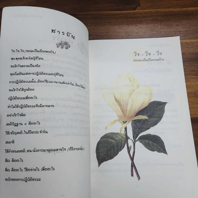ธรรมะกับการปฏิบัติธรรม รูปที่ 6